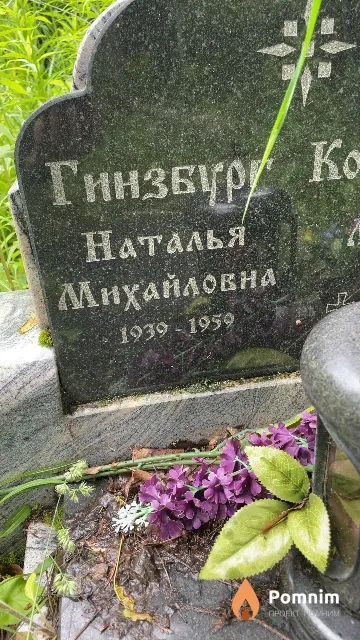 Гинзбург Наталья Михайловна