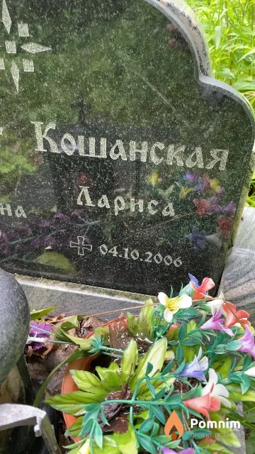 Кошанская Лариса