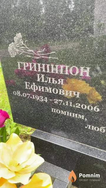 Гриншпон Илья Ефимович