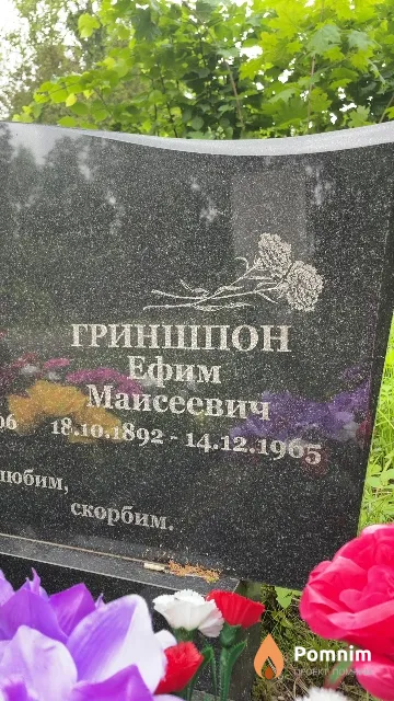 Гриншпон Ефим Маисеевич