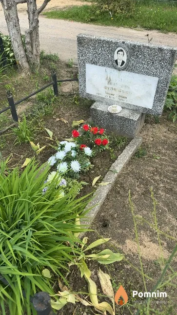 Колесник Александр Иванович