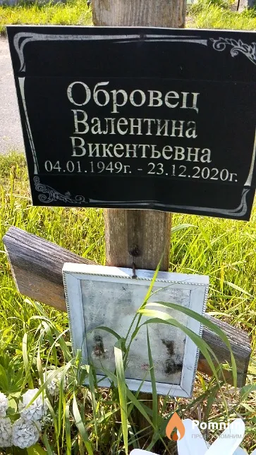 Обровец Валентина Викентьевна