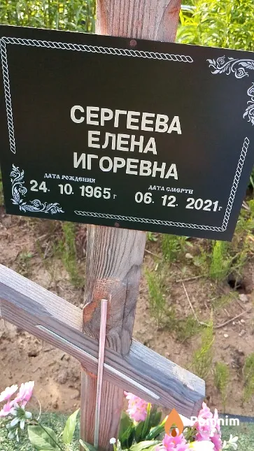 Сергеева Елена Игоревна