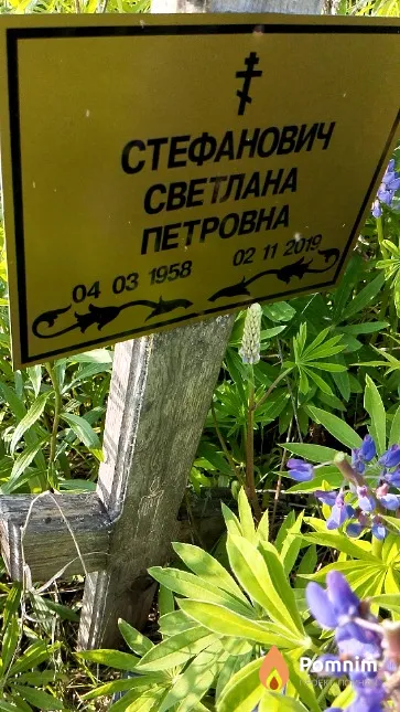 Стефанович Светлана Петровна