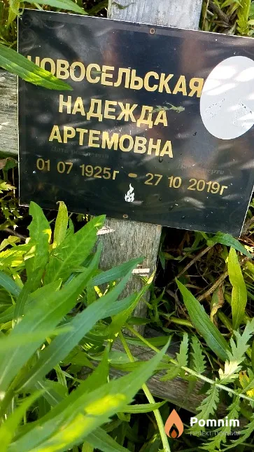 Новосельская Надежда Артёмовна