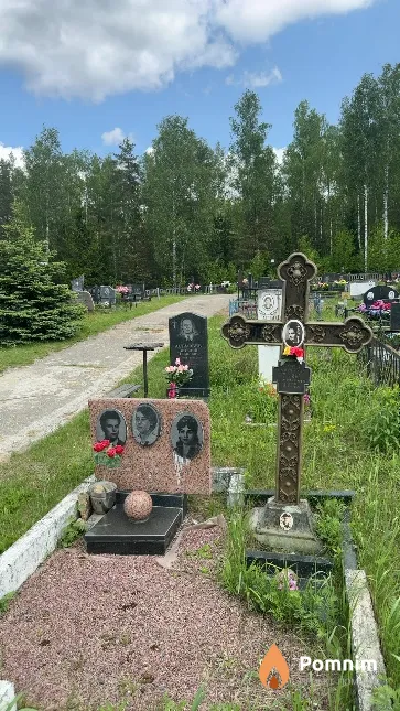 Дрюпины Алексей Георгиевич