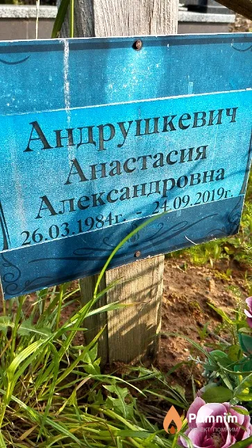 Андрушкевич Анастасия Александровна