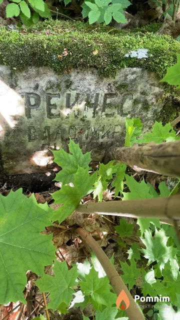 Рейнес Владимир Львович