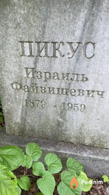 Пикус Израиль Файвишевич