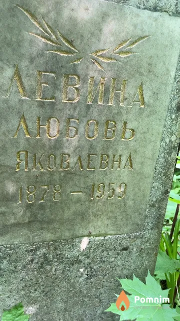 Левина Любовь Яковлевна