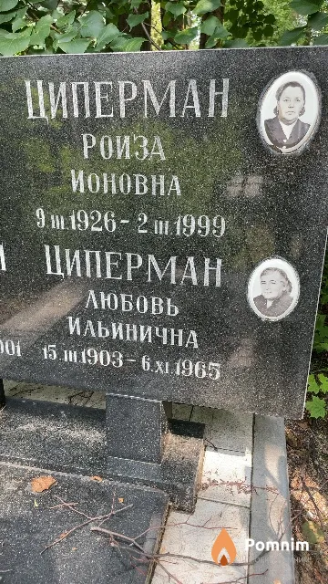 Циперман Роиза Ионовна