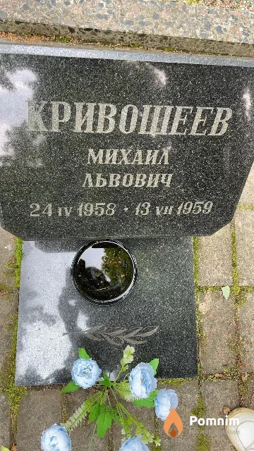 Кривошеев Михаил Львович