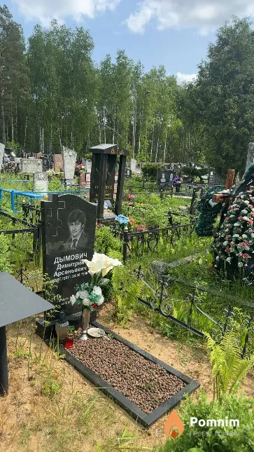 Дымович Димитрий Арсеньевич