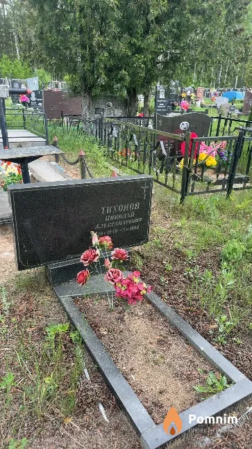 Тихонов Николай Александрович