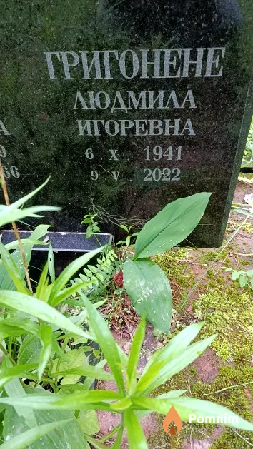 Григонене Людмила Игоревна