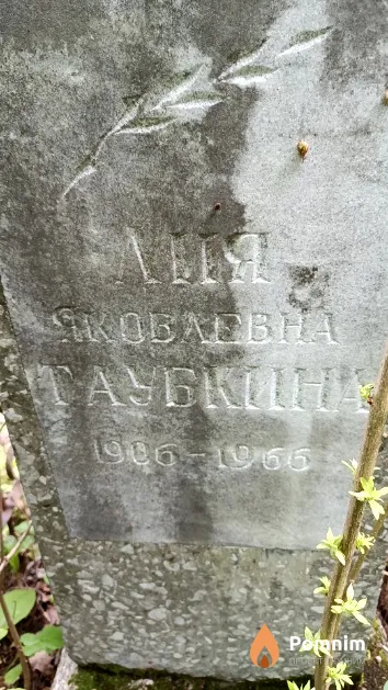 Таубкина Лия Яковлевна