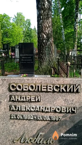 Соболевский Андрей Александрович