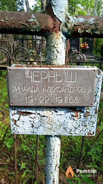 Черныш Зинаида Александровна