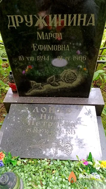 Дружинина Марфа Ефимовна