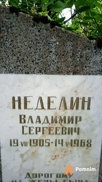 Неделин Владимир Сергеевич