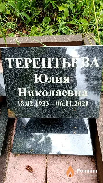 Терентьева Юлия Николаевна