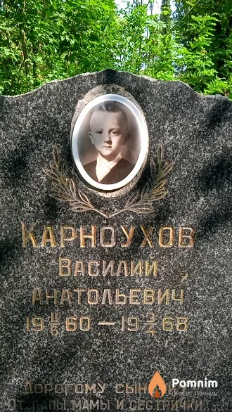 Карноухов Василии Анатольевич