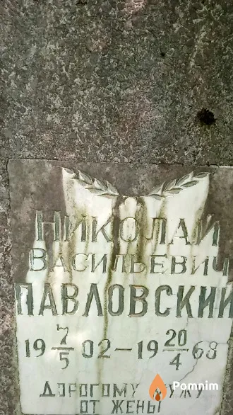 Павловский Николай Васильевич