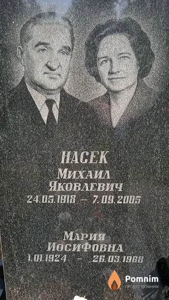 Насек Михаил Яковлевич