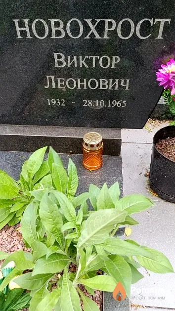 Новохрост Виктор Леонович