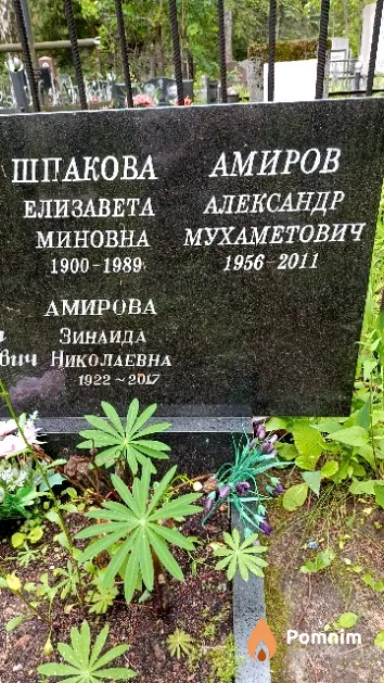 Амиров Александр Мухаметович