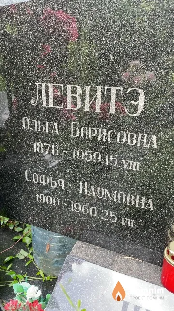 Левитэ Софья Наумовна