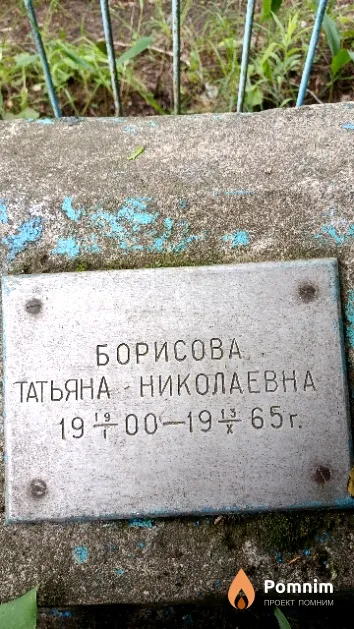 Борисова Татьяна Николаевна