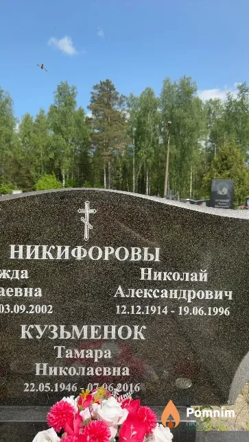 Никифоров Николай Александрович