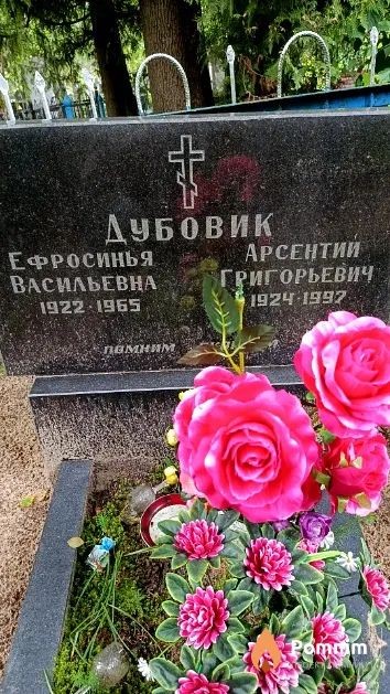 Дубовик Ефросинья Васильевна