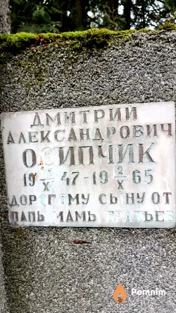 Осипчик Дмитрий Александрович