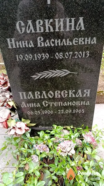 Павловская Анна Степановна