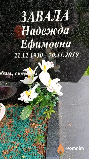 Завала Надежда Ефимовна