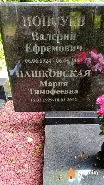 Попсуев Валерий Ефремович