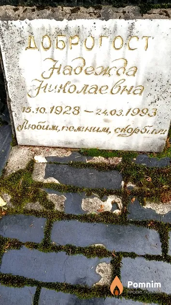Доброгост Надежда Николаевна
