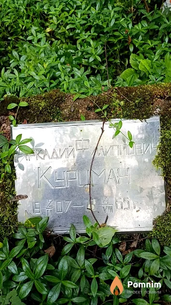 Курцман Аркадий Филиппович