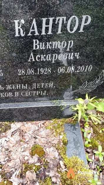 Кантор Виктор Аскаревич