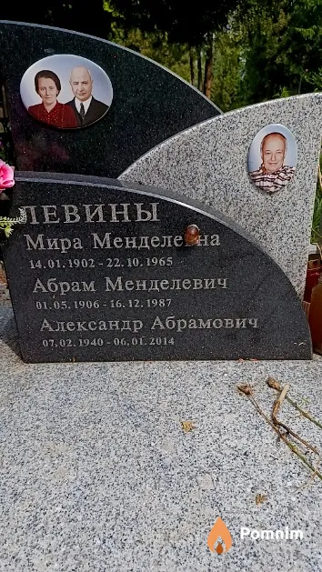 Левин Александр Абрамович