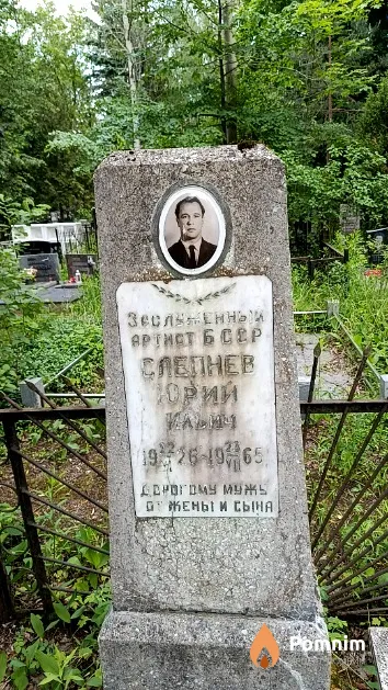 Слепнев Юрий Ильич
