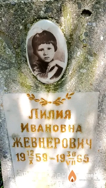 Жевнерович Лилия Ивановна