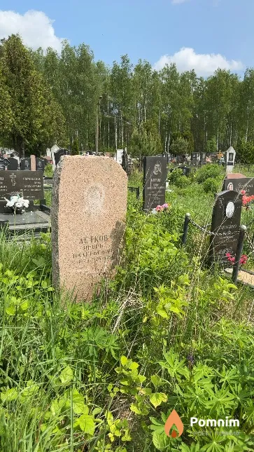 Летков Игорь Валерьевич