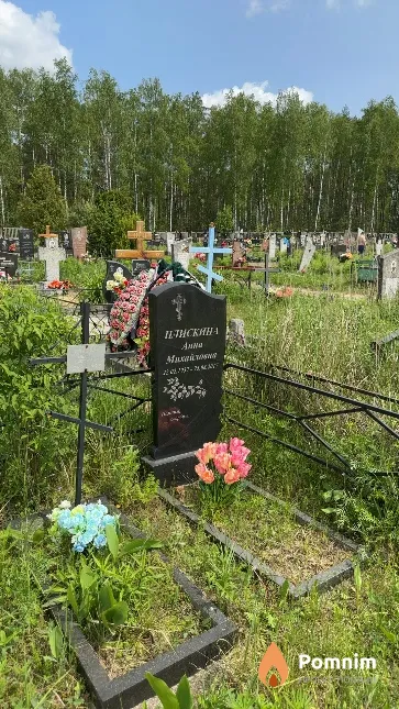 Плискин Анатолий Викторович