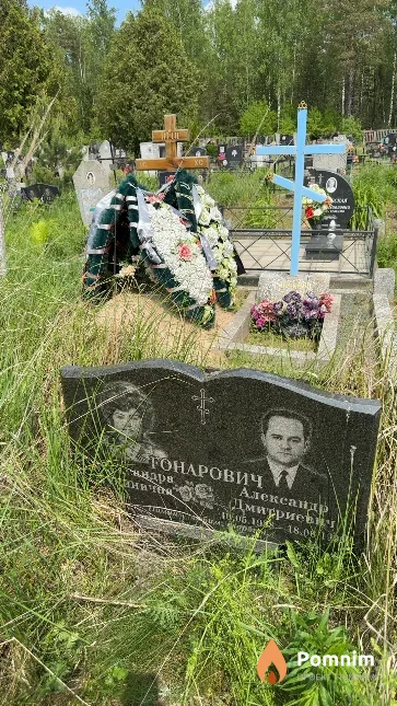 Гонарович Александр Дмитриевич