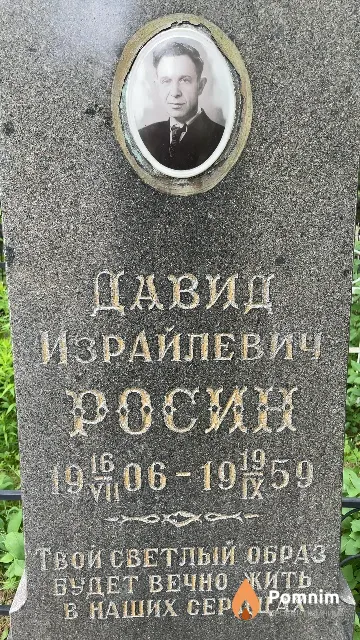 Pocин Давид Израйлевич