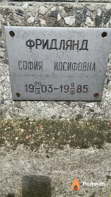 Фридлянд София Иосифовна