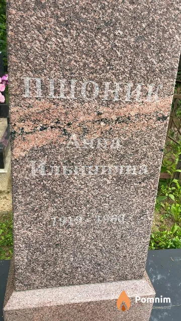 Пшоник Анна Ильинична
